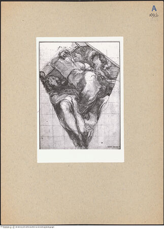 Vorderseite von bh188183_recto