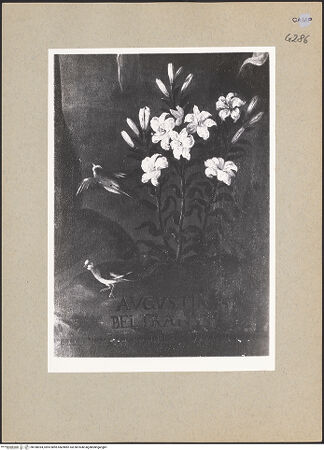 Vorderseite von Sopr. BAS NA [https://www.deutsche-digitale-bibliothek.de/content/lizenzen/rv-ez/] Die Madonna erscheint dem Heiligen Kajetan von Thiene - Detail, bh188394_recto. Foto.