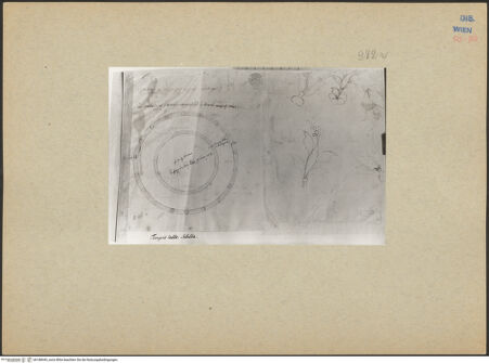 Vorderseite von bh188445_recto