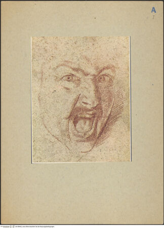 Vorderseite von bh188462_recto