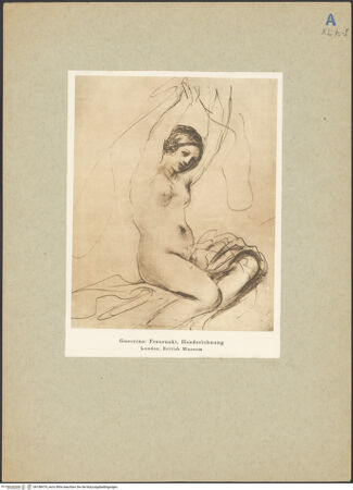 Vorderseite von bh188474_recto