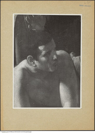 Vorderseite von bh188485_recto