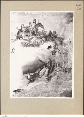 Vorderseite von Hutzel, Max [https://www.deutsche-digitale-bibliothek.de/content/lizenzen/rv-ez/] Glorie des Heinrich IV und der Bourbonen-Familie - Detail, bh188620_recto. Foto: Hutzel, Max.