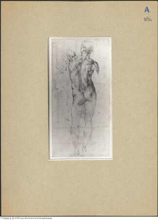 Vorderseite von bh188701_recto