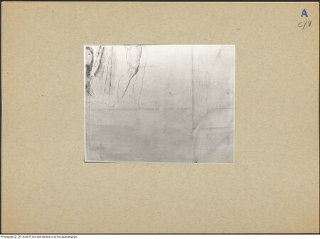 Vorderseite von bh188779_recto