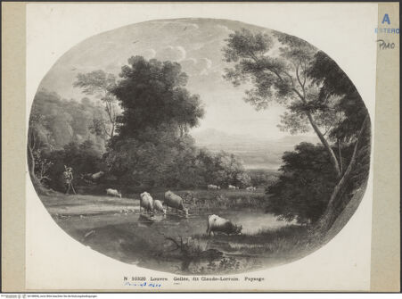 Vorderseite von bh188856_recto