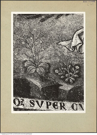 Vorderseite von bh188971_recto