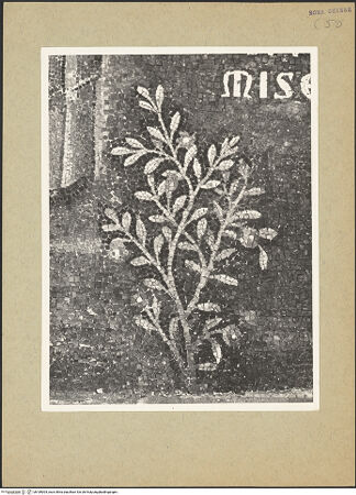 Vorderseite von bh189004_recto