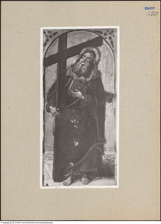 Vorderseite von Sopr. BAS NA [https://www.deutsche-digitale-bibliothek.de/content/lizenzen/rv-ez/] Zwei Tafeln aus einem Polyptychon (?)Der heilige Andreas - Gesamtansicht (vor der Restaurierung), bh189077_recto. Foto.