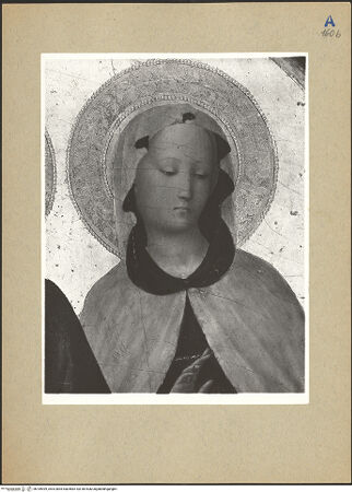 Vorderseite von bh189099_recto