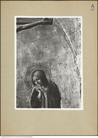 Vorderseite von bh189116_recto