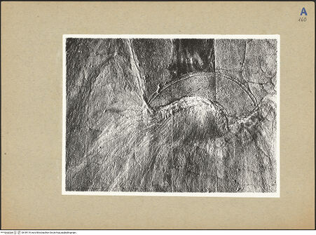 Vorderseite von bh189119_recto