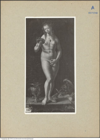 Vorderseite von bh189124_recto