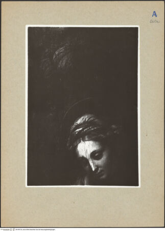 Vorderseite von bh189133_recto