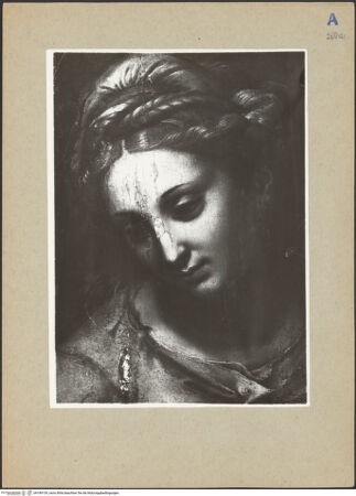 Vorderseite von bh189139_recto