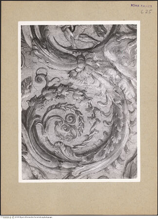 Vorderseite von bh189198_recto