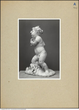 Vorderseite von bh190511_recto