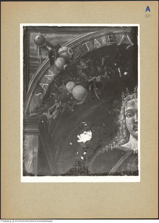 Vorderseite von bh191009_recto