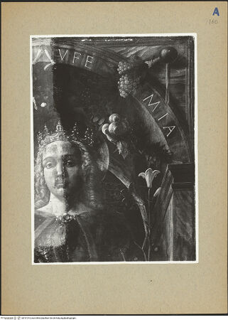 Vorderseite von bh191013_recto