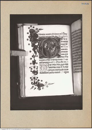 Vorderseite von bh191135_recto