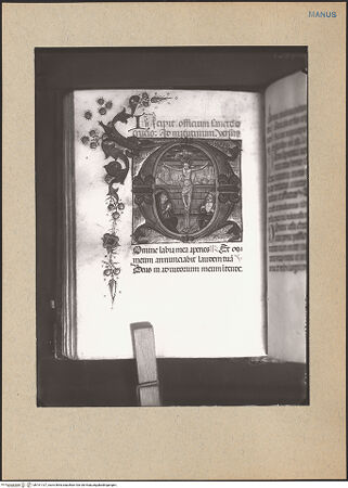 Vorderseite von bh191137_recto