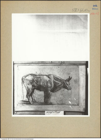 Vorderseite von bh191283_recto