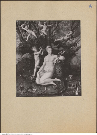 Vorderseite von bh191308_recto