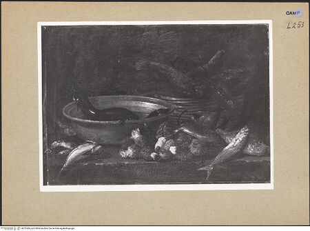 Vorderseite von Sopr. BAS NA [https://www.deutsche-digitale-bibliothek.de/content/lizenzen/rv-ez/] Fischstillleben - Gesamtansicht, bh191409_recto. Foto.