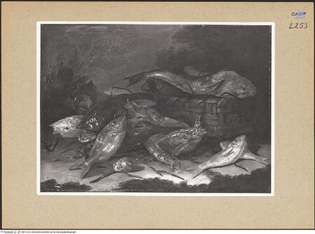 Vorderseite von Sopr. BAS NA [https://www.deutsche-digitale-bibliothek.de/content/lizenzen/rv-ez/] Fischstillleben - Gesamtansicht, bh191410_recto. Foto.