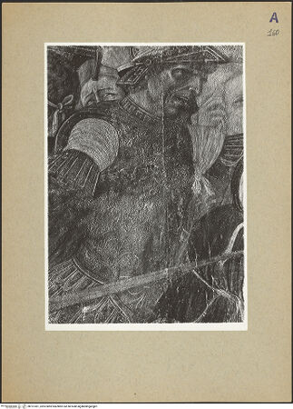 Vorderseite von bh191451_recto