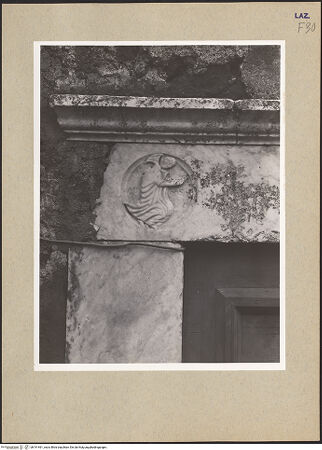 Vorderseite von bh191461_recto