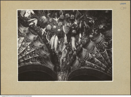 Vorderseite von bh191792_recto