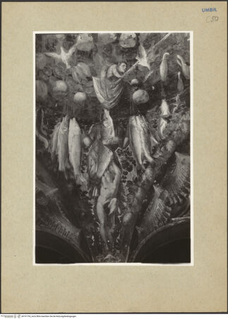 Vorderseite von bh191793_recto