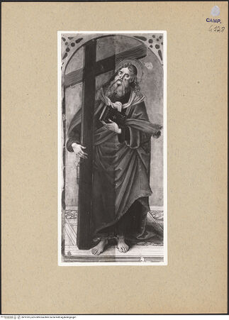 Vorderseite von Sopr. BAS NA [https://www.deutsche-digitale-bibliothek.de/content/lizenzen/rv-ez/] Zwei Tafeln aus einem Polyptychon (?)Der heilige Andreas - Gesamtansicht (vor der Restaurierung), bh191815_recto. Foto.