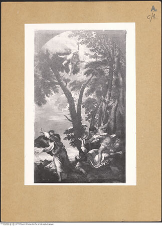 Vorderseite von bh191935_recto