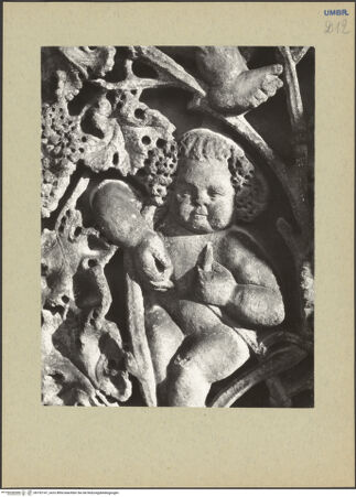 Vorderseite von Tacchini [https://www.deutsche-digitale-bibliothek.de/content/lizenzen/rv-ez/] Musizierende PuttiPutto mit ? - , bh192147_recto. Foto.