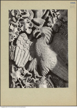 Vorderseite von Tacchini [https://www.deutsche-digitale-bibliothek.de/content/lizenzen/rv-ez/] Adler - , bh192149_recto. Foto.