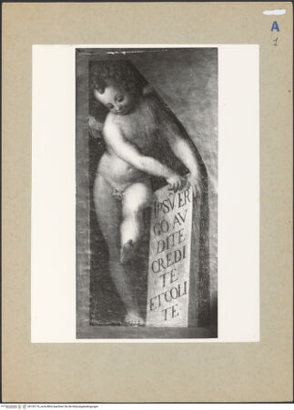 Vorderseite von bh192176_recto