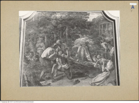 Vorderseite von bh192177_recto