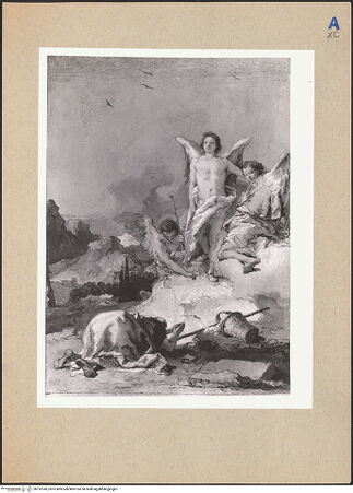 Vorderseite von bh192249_recto