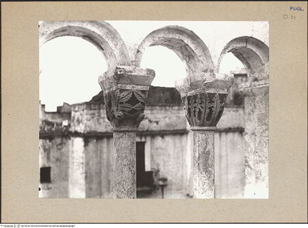 Vorderseite von Sopr. BAS BA [https://www.deutsche-digitale-bibliothek.de/content/lizenzen/rv-ez/] Kapitelle der GalerienKapitelle der Nordgalerie - Kapitelle des Triforiums 4 (nach dem Brand von 1911), bh192616_recto. Foto.