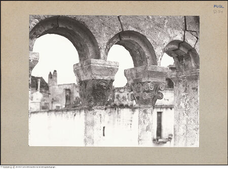 Vorderseite von Sopr. BAS BA [https://www.deutsche-digitale-bibliothek.de/content/lizenzen/rv-ez/] Kapitelle der GalerienKapitelle der Nordgalerie - Kapitelle des Triforiums 2 (nach dem Brand von 1911), bh192617_recto. Foto.