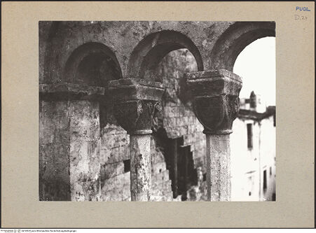 Vorderseite von Sopr. BAS BA [https://www.deutsche-digitale-bibliothek.de/content/lizenzen/rv-ez/] Kapitelle der GalerienKapitelle der Südgalerie - Kapitelle des Triforiums 8 (nach dem Brand von 1911), bh192622_recto. Foto.