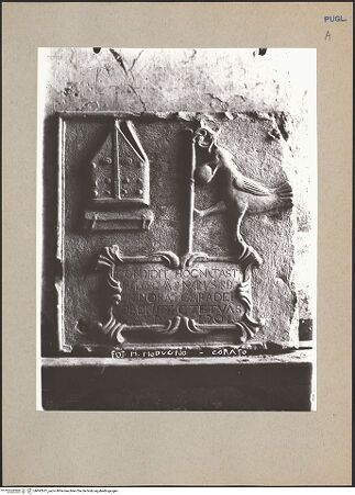 Vorderseite von bh192631_recto