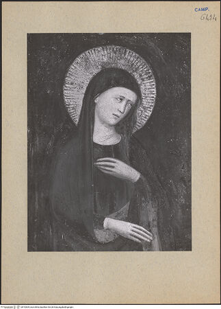 Vorderseite von ICCD [https://www.deutsche-digitale-bibliothek.de/content/lizenzen/rv-ez/] Kreuzigung mit Maria, Johannes, Dominikus und Petrus dem Märtyrer - Maria, Detail: Oberkörper, bh192639_recto. Foto.