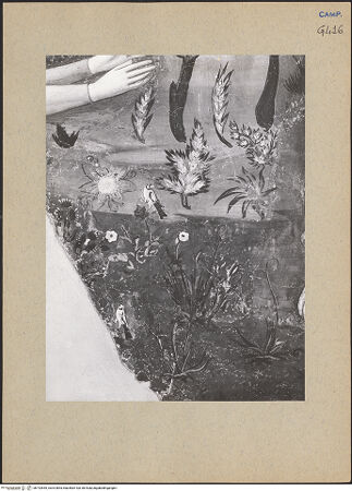 Vorderseite von ICCD [https://www.deutsche-digitale-bibliothek.de/content/lizenzen/rv-ez/] Szenen aus dem Leben der Maria MagdalenaNoli me tangere - Detail der Pflanzen, bh192645_recto. Foto.