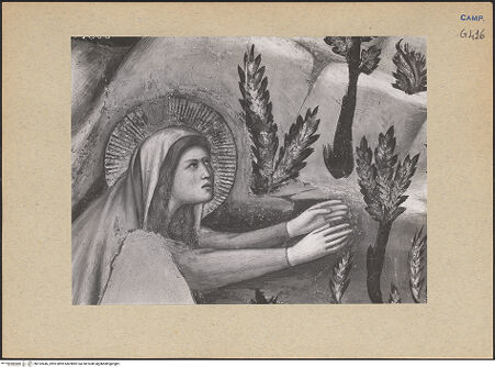 Vorderseite von ICCD [https://www.deutsche-digitale-bibliothek.de/content/lizenzen/rv-ez/] Szenen aus dem Leben der Maria MagdalenaNoli me tangere - Maria Magdalena, Detail: Oberkörper, bh192646_recto. Foto.