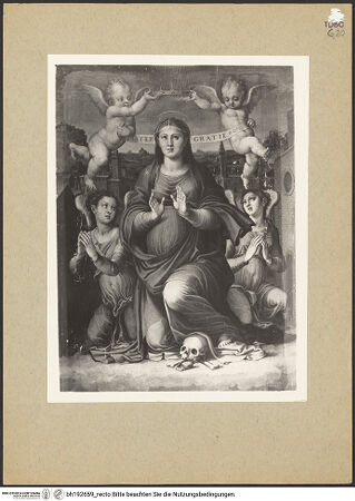 Vorderseite von bh192659_recto