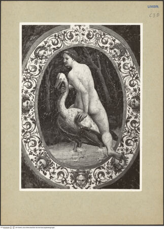 Vorderseite von bh192663_recto