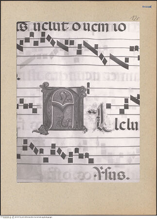 Vorderseite von bh192776_recto